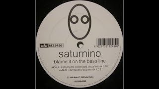 saturnino - blame it on the bassline (kamasutra dub)