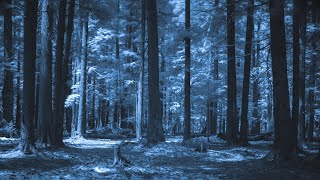 Download lagu 竈門炭治郎のうた - 椎名豪 featuring 中川奈美(フル) mp3 Download lagu 竈門炭治郎のうた - 椎名豪 featuring 中川奈美(フル) mp3