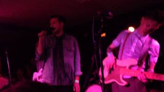 miniature tigers - dream girl