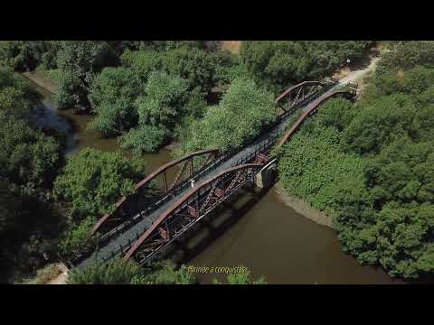 DJ Sims & LiL Rafa - Requinte