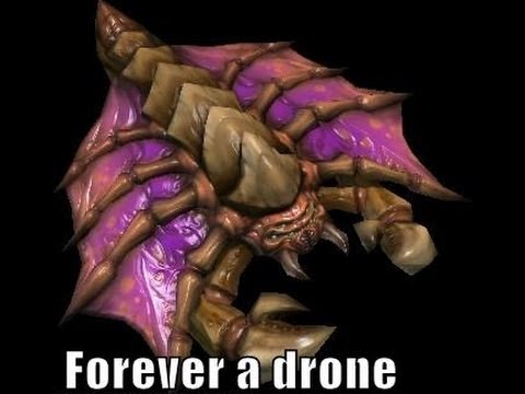 Starcraft II: Wings of Liberty Starfriend 3ffa ZvTvP