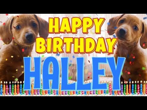 Happy Birthday Halley! ( Funny Talking Dogs ) What Is Free On My Birthday