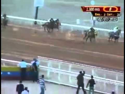 SANTA RITA 8 CARRERA, JUEVES 02 DE JULIO DEL 2015