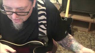 SKIN - Look But Dont Touch - CVT Guitar Lesson by Mike Gross