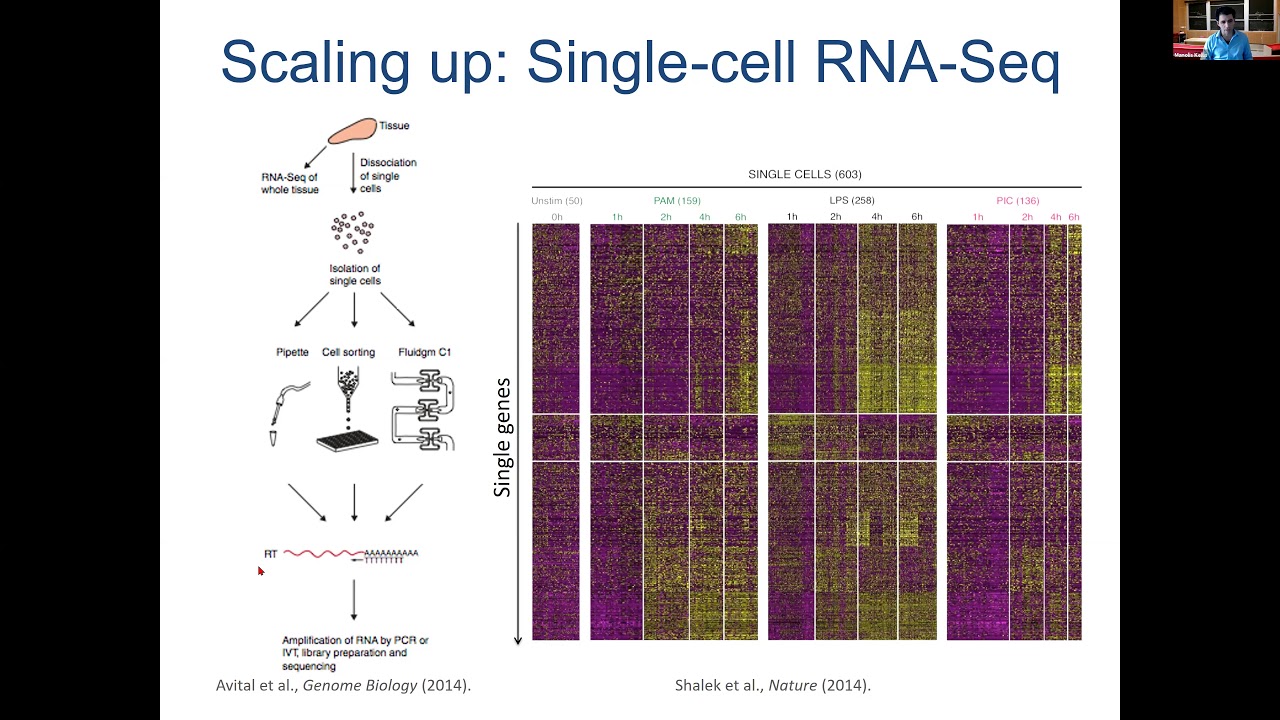 MIT Deep Learning Genomics - Lecture 15 - Single-cell genomics (Spring 2020)