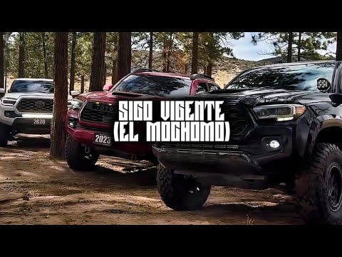Sigo Vigente (El Mochomo) - Clave JRS | Regional Mexicano 2024