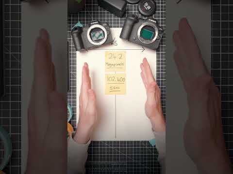 Should you buy the Canon R6 II or the Canon R8 in 2026?