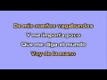 Karaoke elefante el abandonao 
