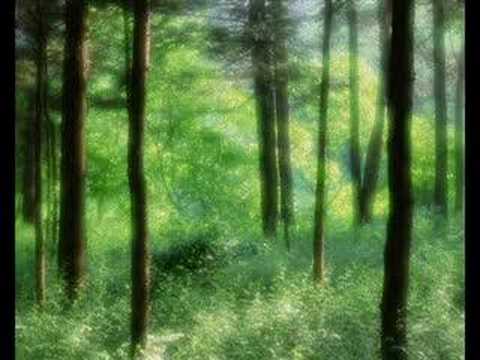 Imogen Heap-Hide & Seek (Enmass remix)