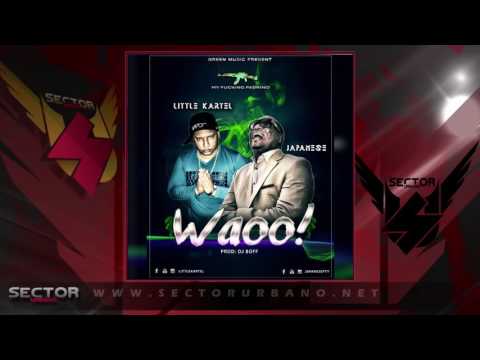 Little Kartel ft Japanese - Waoo