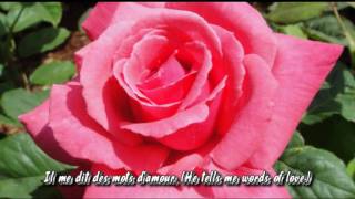 Portland Rose Garden, La Vie en Rose - Patricia Kaas, (with lyrics &amp; Eng. Translation)