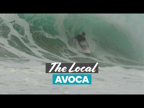 Fun waves and informational video on Avoca Beach