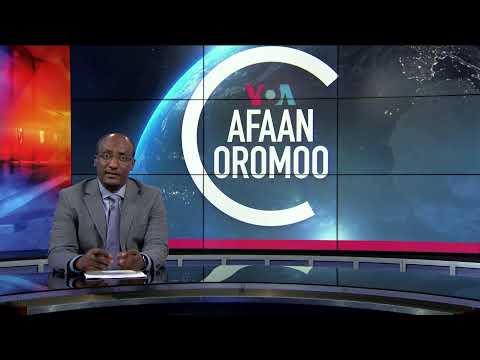 Tamsaasa Guyaadhaa Guyyaa