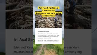 Download lagu Kemenhut masih ngeles aja muak lihatnya⁉️#trendingshorts #shorts mp3 Download lagu Kemenhut masih ngeles aja muak lihatnya⁉️#trendingshorts #shorts mp3
