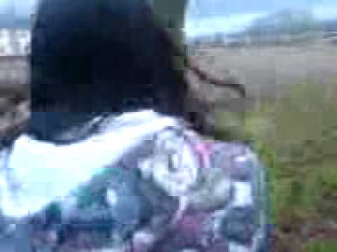 Peter, Beth and sammy lol