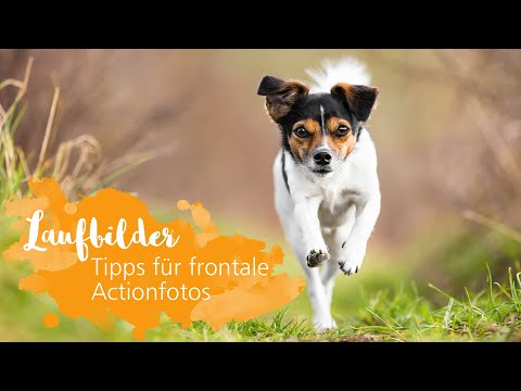 10 Tage 10 Fotos | Staffel 2 | Tag 5/10 - Laufbilder von Hunden 🐕