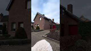 🇳🇱住宅街をチョロっと📹🐒#limburg #オランダ生活 #住宅街 #europe