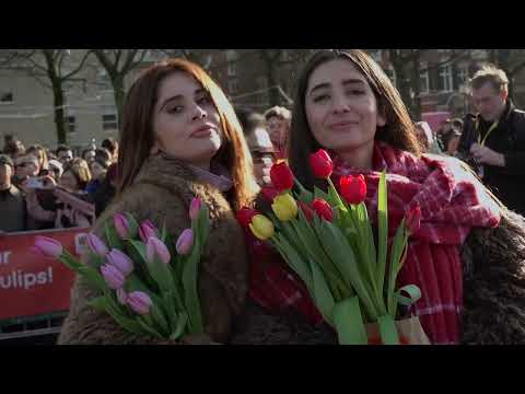 Tulip Day Amsterdam 2026 - so much fun (short video)