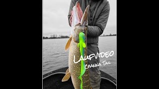 Revolution Tackle Channa Tail 34cm Oil Livia