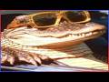 World S HARDEST TRY NOT TO LAUGH Challenge IMPOSSIBLE Best Funny Videos Of 2026