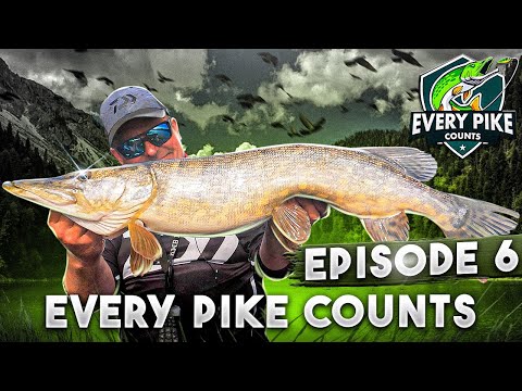 EVERY PIKE COUNTS 2023 with Happy Angler | Episode 6 [ENG SUB]