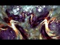 UNITZ - Distorted Life