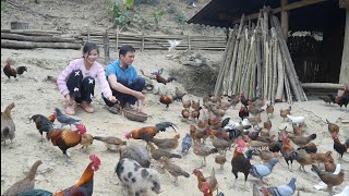 Girlfriend went up the mountain to visit Robert. Did she agree to marry him?. Green forest life