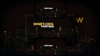 (YTPMV) WNETORG Thirteen Logo 2008 Scan