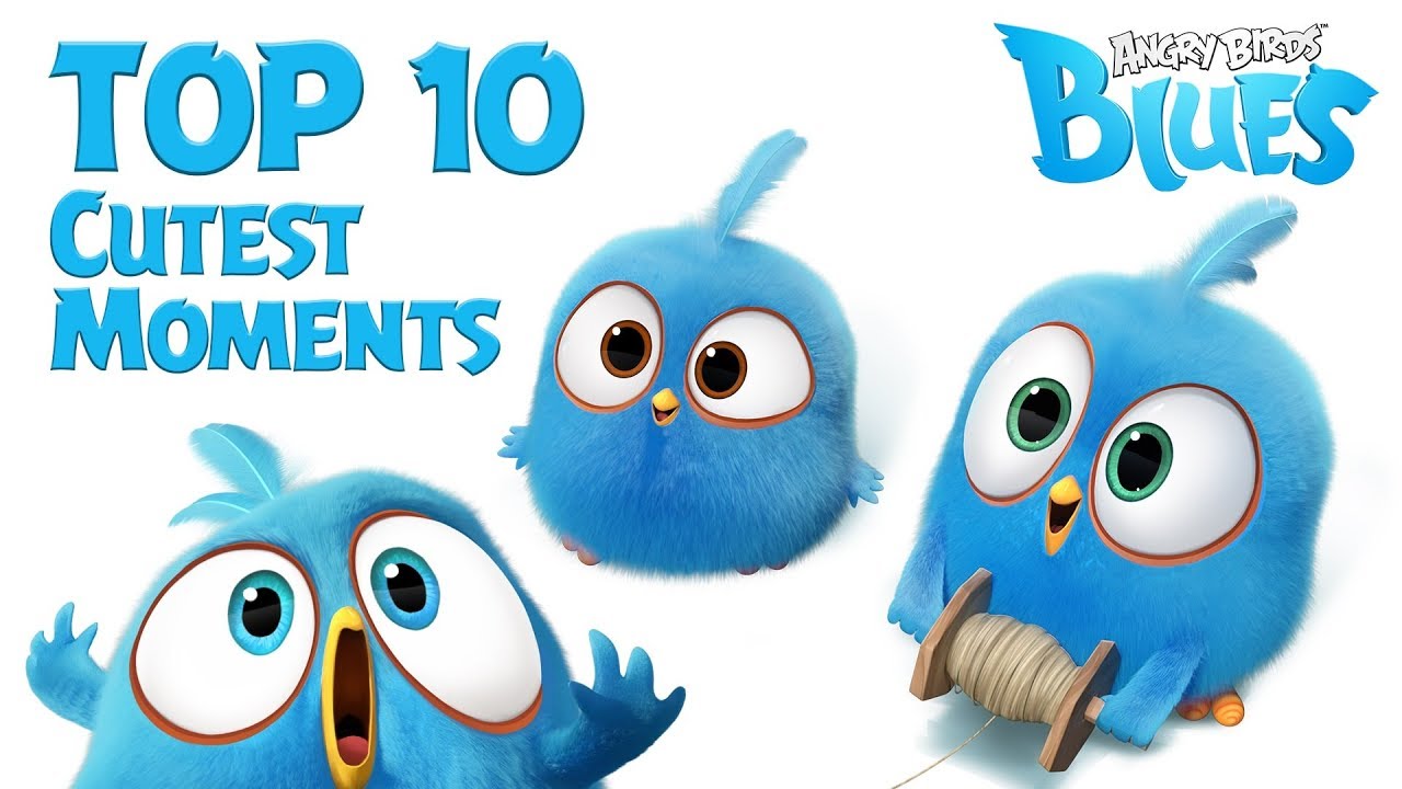 Angry Birds Blues — Angry Birds Blues  - Top 10 Cutest Moment