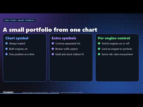 Video TrendDip Portfolio
