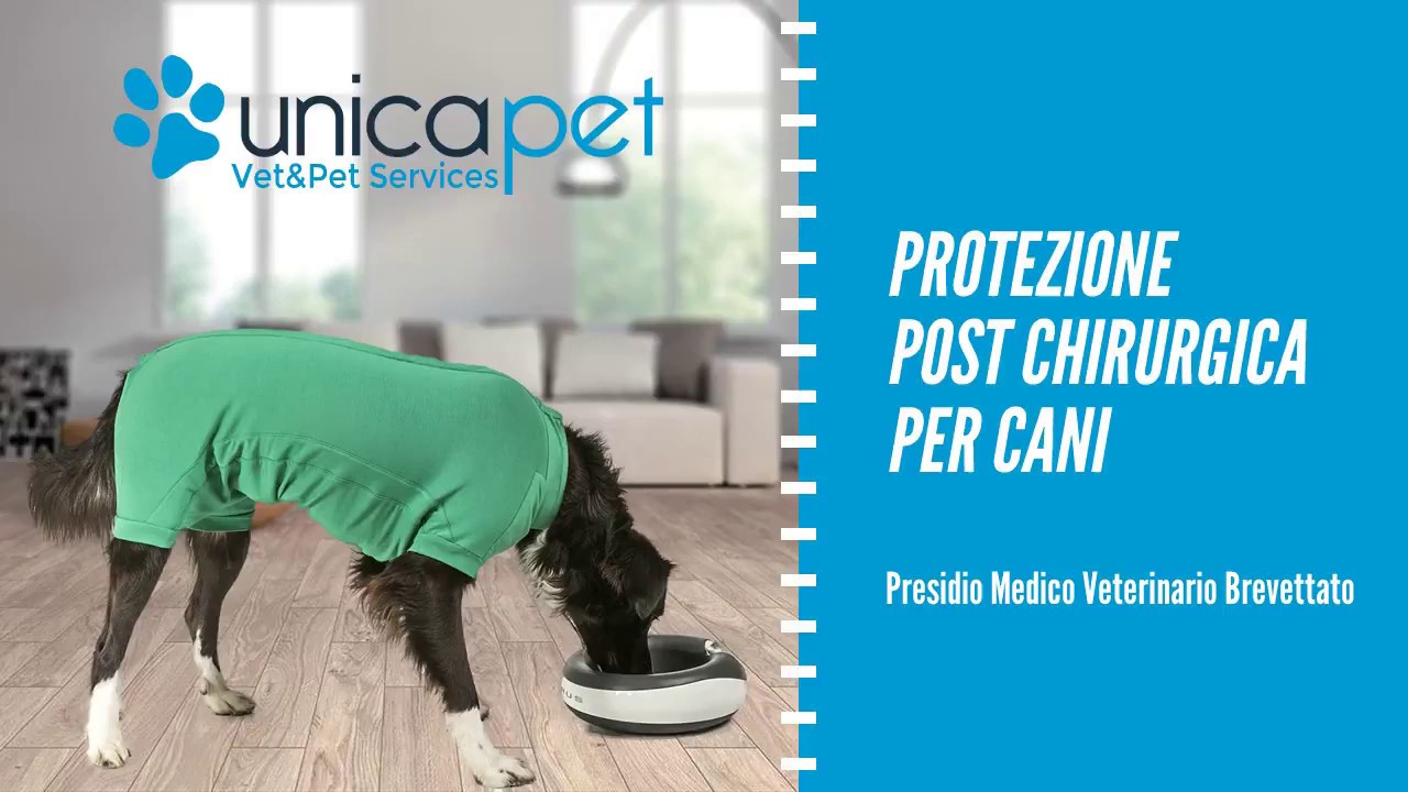 Watch Now Caratteristiche Prodotto Caratteristiche Prodotto