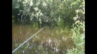 Рыбалка около тюмени по велижанскому тракту