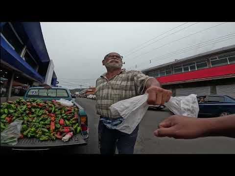 PALMARES, ALAJUELA. COSTA RICA.🇨🇷