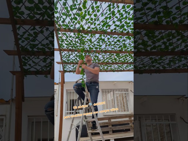 Vídeo relacionado con Der Rose Juego de 2 plantas suculentas artificiales para oficina, escritorio, baño, hogar, habitación, decoración estética para interiores