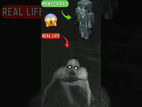 Real Life Pirate Cursed Images in Minecraft | Part 2