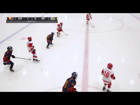 Match mot Brinkens IF team 06, DIF hockey team 06