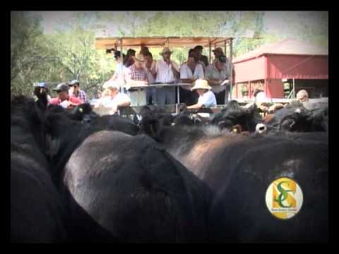 ENTRE SURCOS Y CORRALES