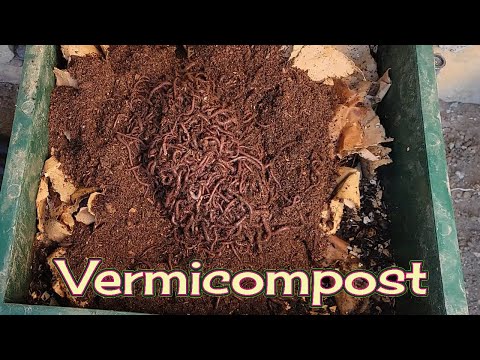 Vermicompost