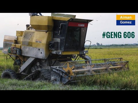 Mesin Padi New Holland I-Cabin 1545s Menuai Padi Cantik | #CombineHarvester #MesinPadi