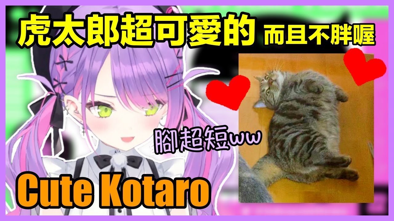 【常闇トワ】才不是肥貓呢！幫超可愛虎太郎辯護的Towa大人