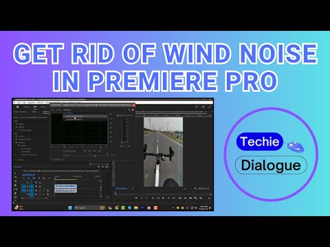 How to Get Rid of Wind Noise in Premiere Pro