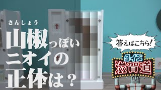 山椒っぽいニオイの正体は！？：クイズ滋賀道