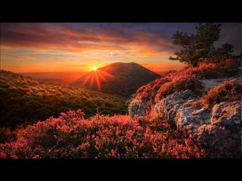 Shulman & Ishq - Mother Nature (ALive mix)