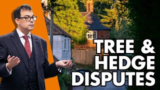 Neighbour disputes: trees and hedges