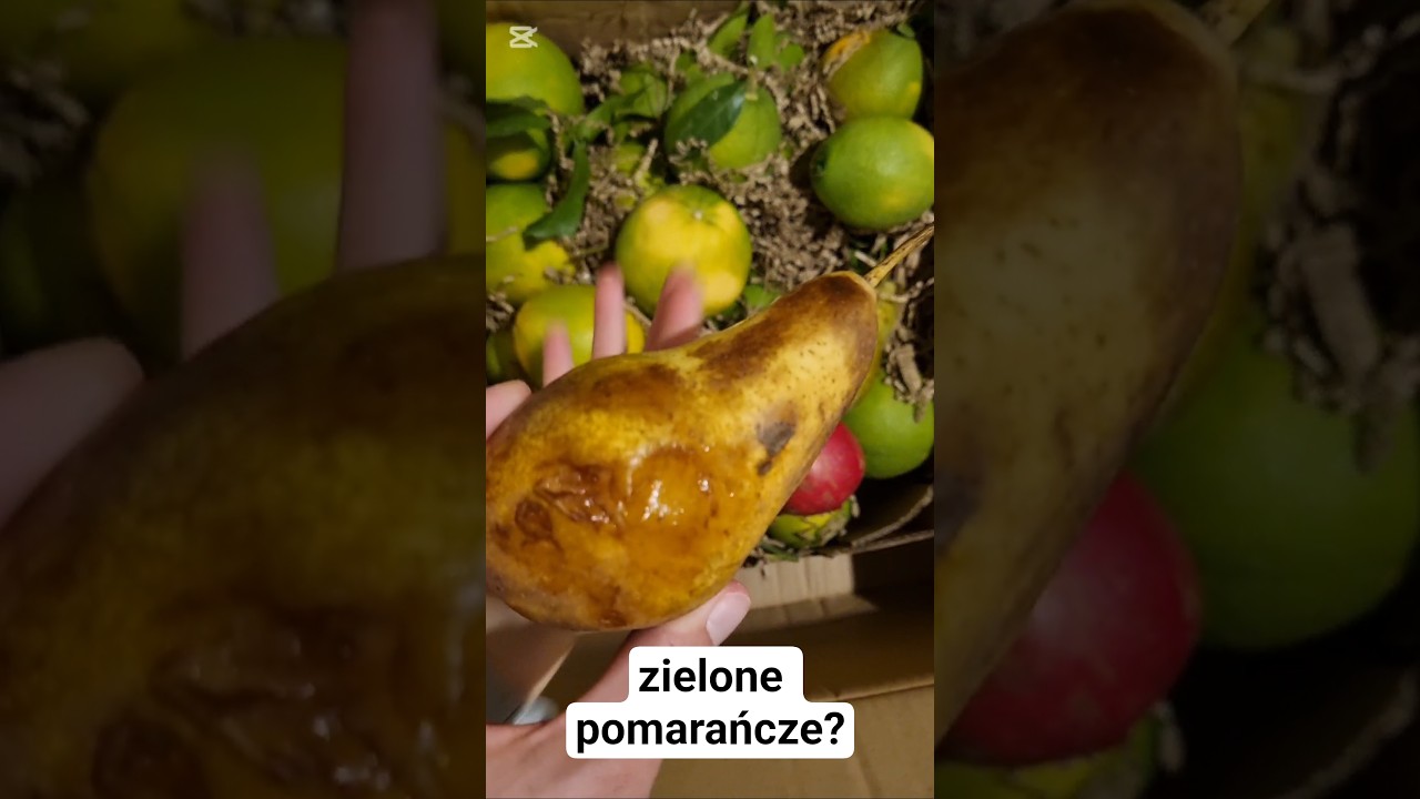 Daliśmy się nabrać... na pomarańcze #hiszpania #po...