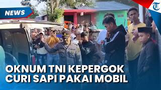 Kendarai Mobil, Oknum TNI Kepergok Maling Sapi di Kabupaten Buru, Digelandang Warga ke Koramil
