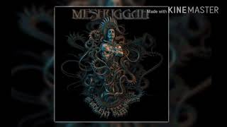 Meshuggah   Into Decay subtitulado español