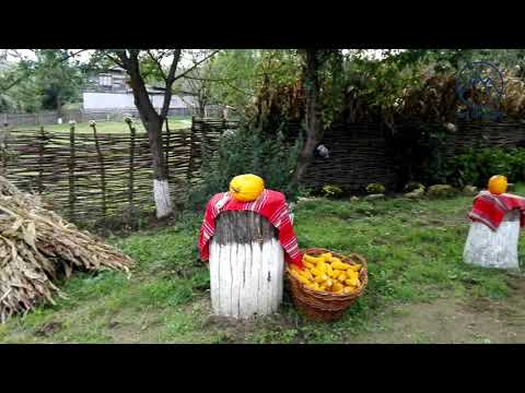 Gospodar de Dolheștii Mici, SV