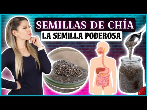 SEMILLAS DE CHIA UN SUPER ALIMENTO LLENO DE BENEFICIOS PARA TU SALUD | NatyGloss