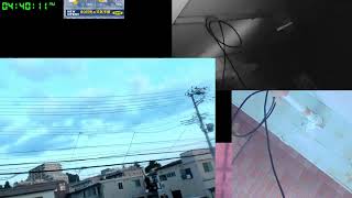 【ツバメさんSwallow】20230730-31電線空配信´・ω・｀)Wild birds